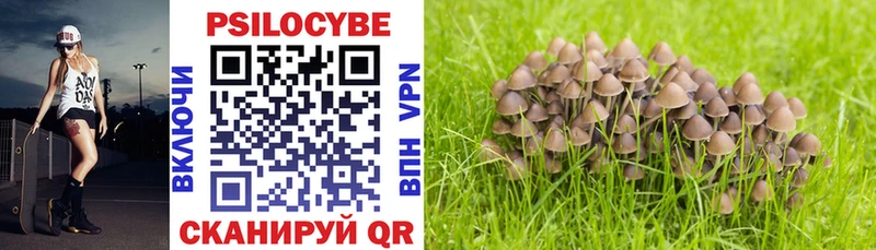 Псилоцибиновые грибы Psilocybine cubensis  купить наркотик  Павловский Посад 